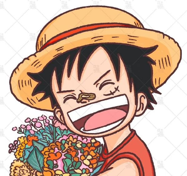 Luffy avatar 5