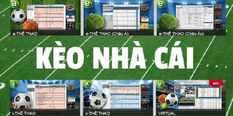 Các loại hình với tỷ lệ kèo nhà cái phổ biến nhất