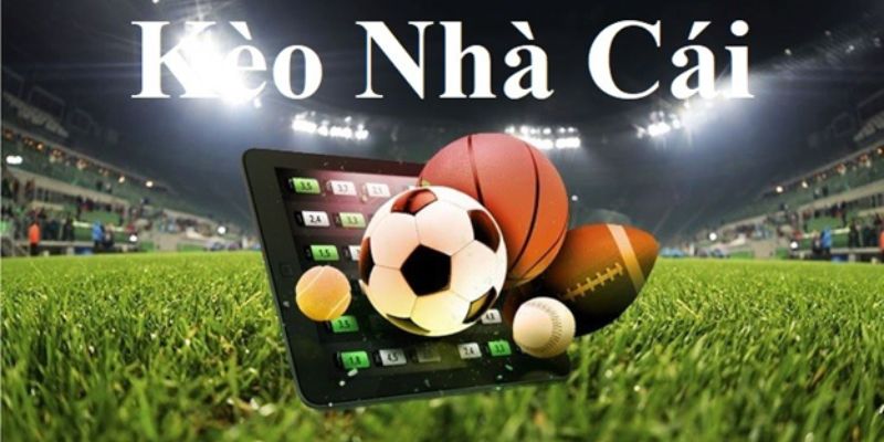 Soi tỷ lệ kèo nhà cái okchoi căn cứ vào nhiều yếu tố