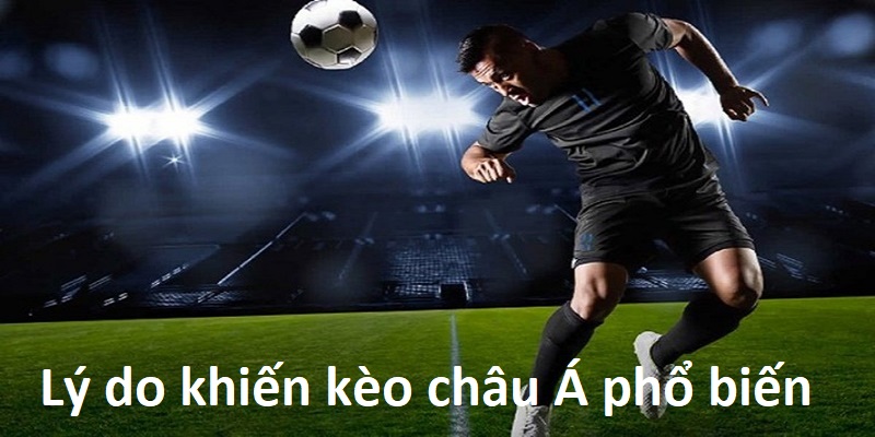 Những ưu điểm khiến bet thủ lựa chọn 